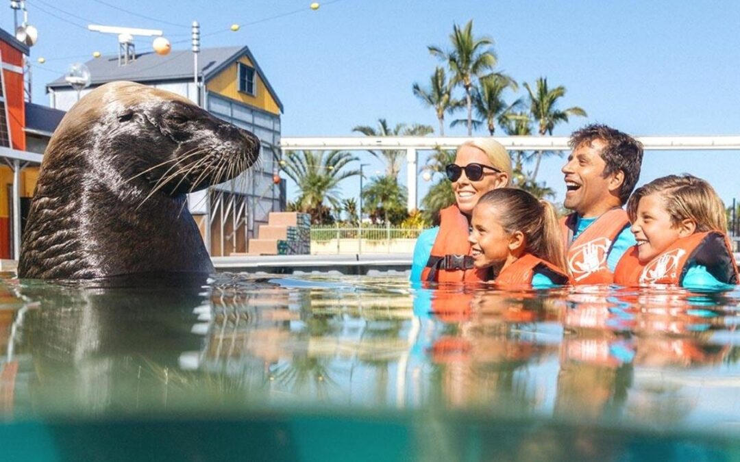 Seaworld Family Accommodation Gold Coast